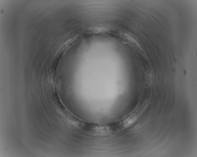 X0000076240415200610051200