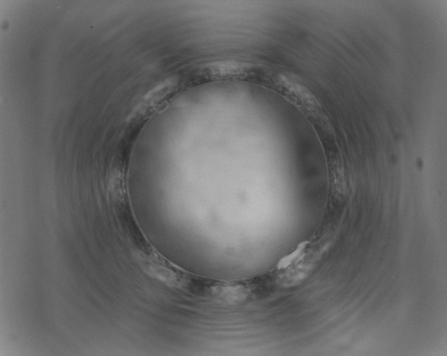 X0000076240419200610051200