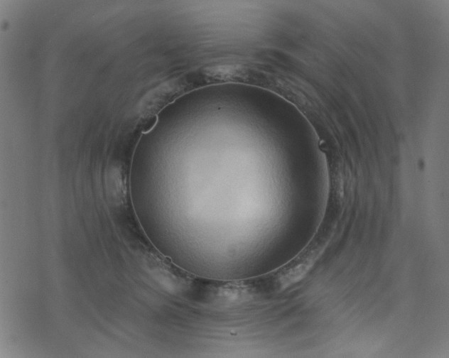 X0000076240420200610051200