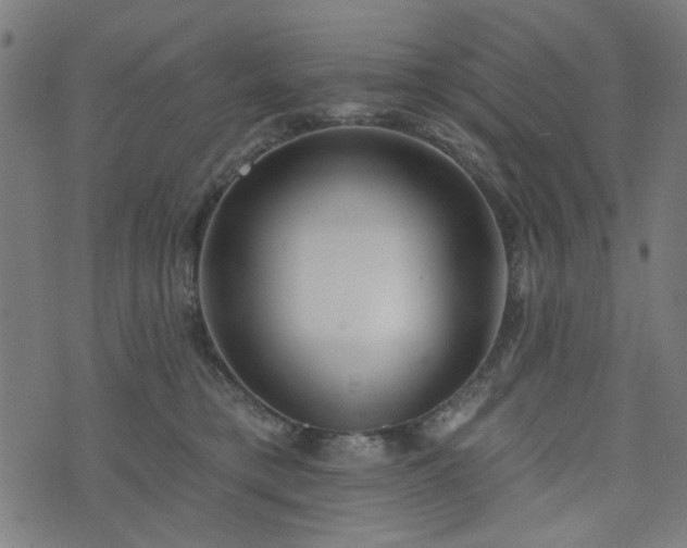 X0000076240421200610051200