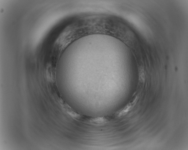 X0000076240431200610051200