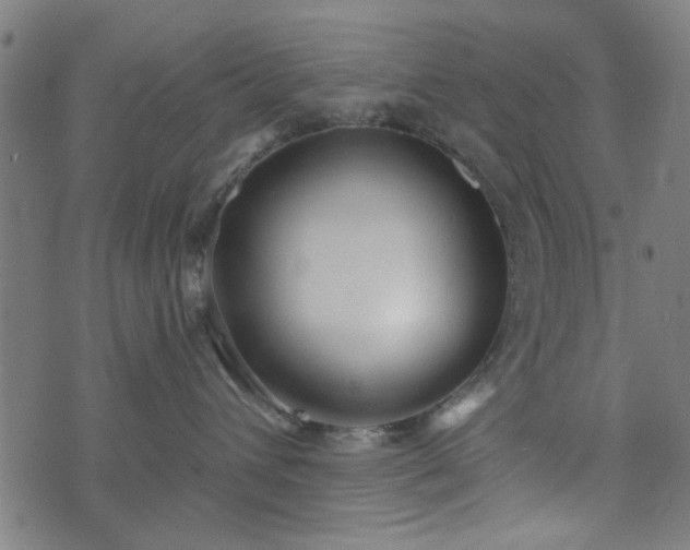 X0000076240432200610051200