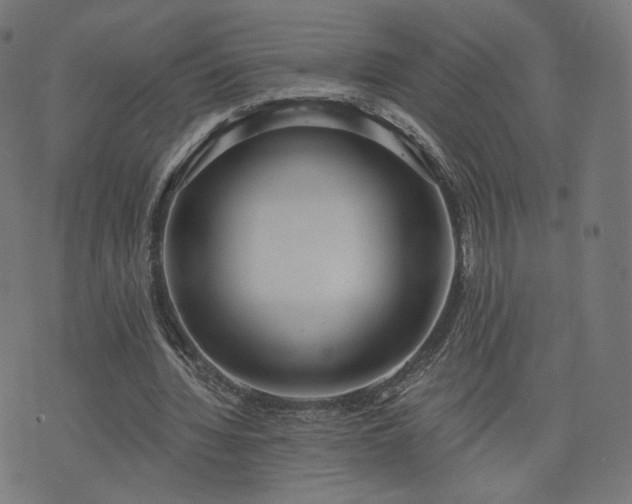 X0000076240436200610051159