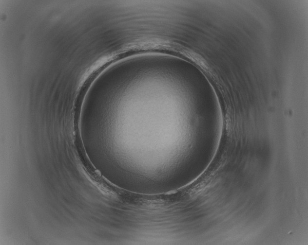 X0000076240438200610051159