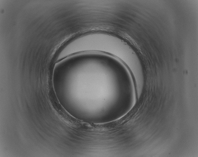X0000076240444200610051159
