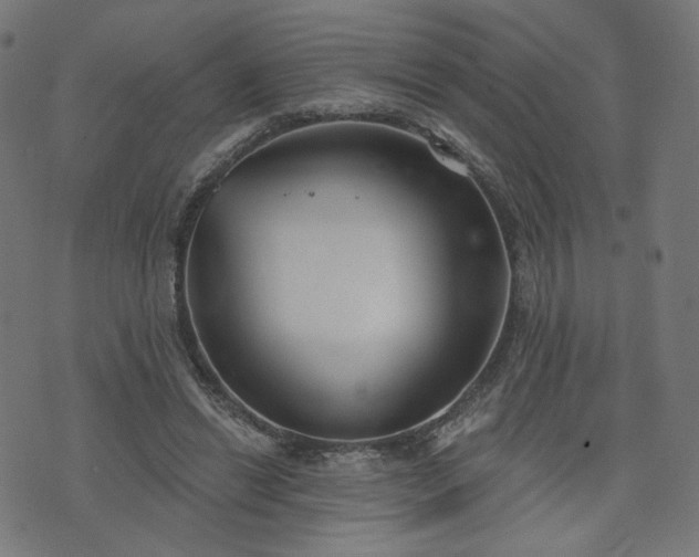 X0000076240446200610051159