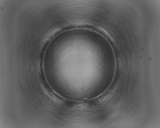X0000076240447200610051159