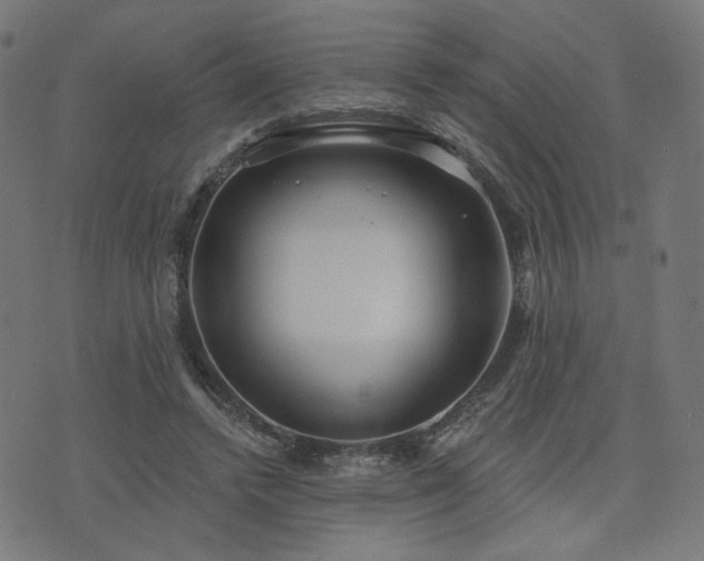 X0000076240448200610051159