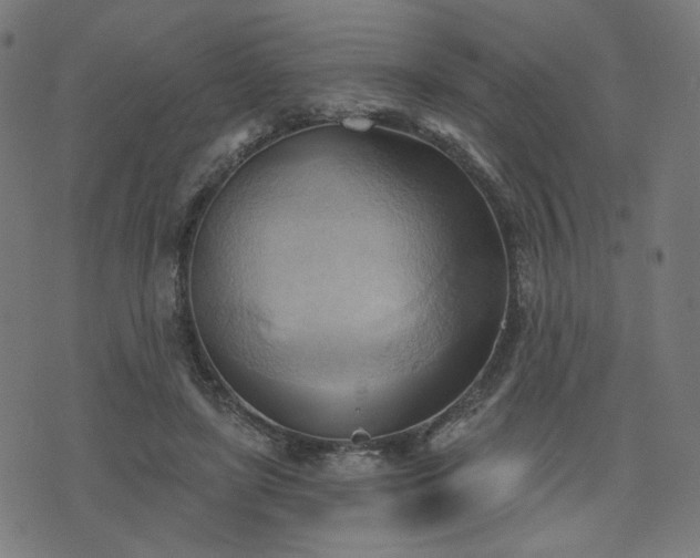 X0000076240451200610051159