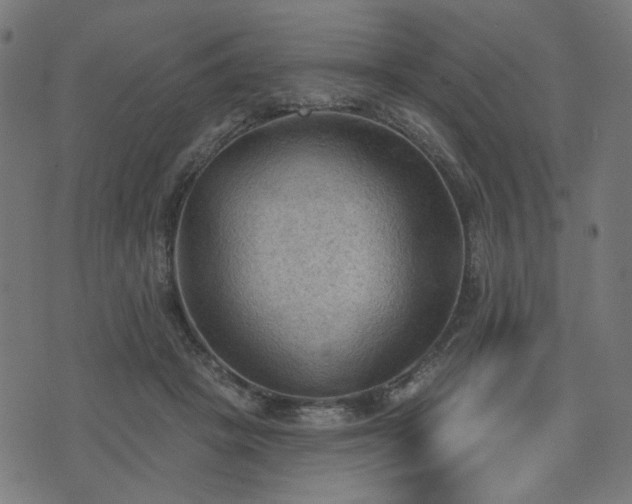 X0000076240457200610051159