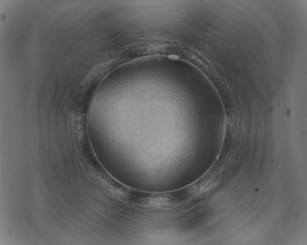 X0000076240462200610051159