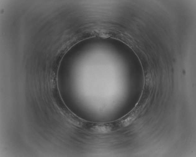 X0000076240464200610051159