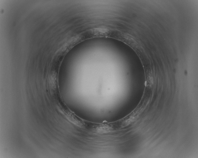 X0000076240468200610051159