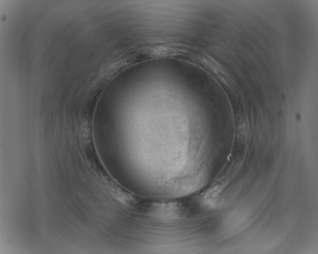 X0000076240469200610051159
