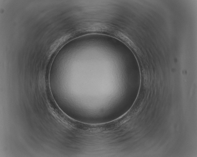 X0000076240482200610051159