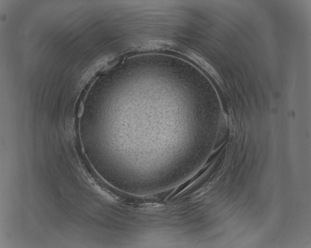 X0000076240485200610051159