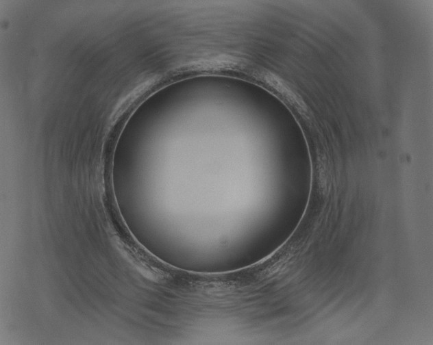 X0000076240486200610051159