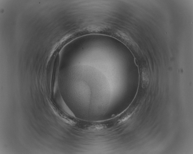 X0000076240492200610051159