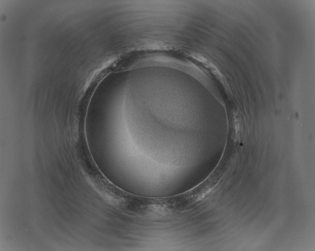 X0000076240496200610051159