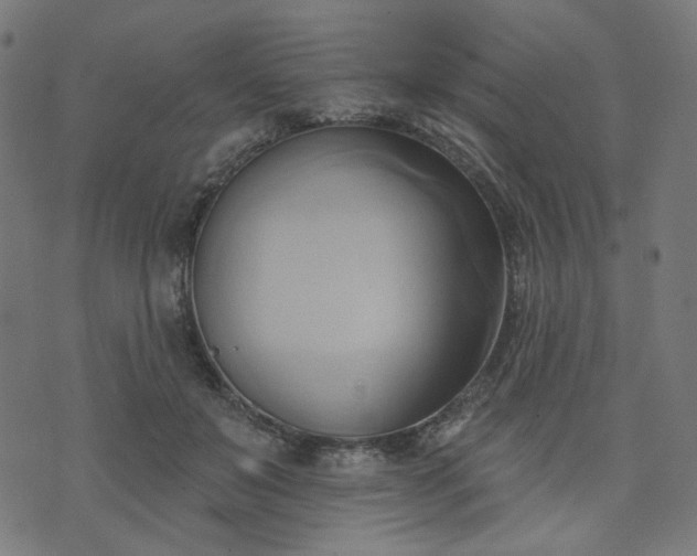 X0000076240503200610051158