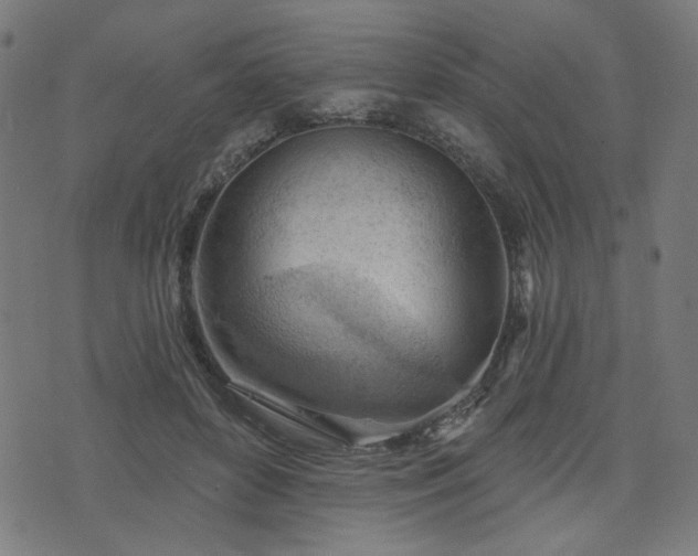 X0000076240504200610051158