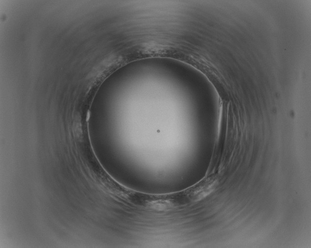 X0000076240508200610051158