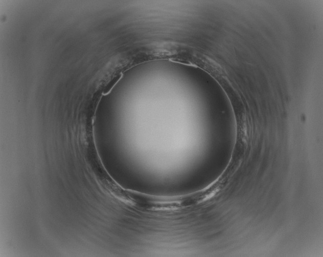 X0000076240512200610051158