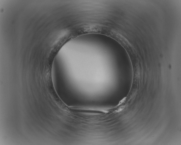 X0000076240513200610051158