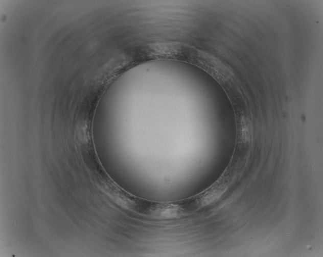 X0000076240514200610051158