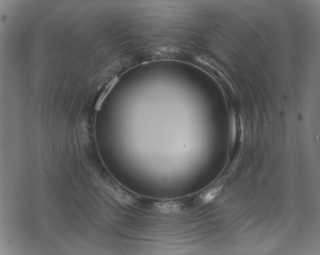 X0000076240520200610051158