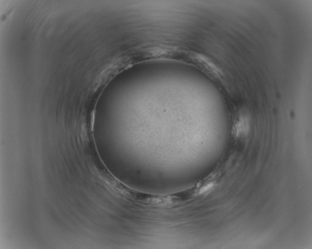 X0000076240524200610051158