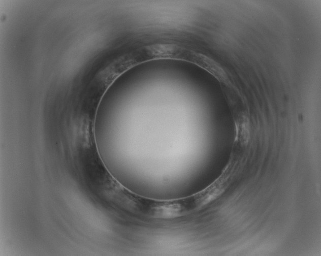 X0000076240525200610051158