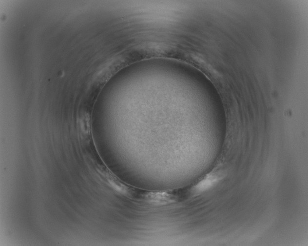 X0000076240528200610051158
