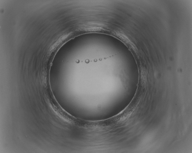 X0000076240533200610051157