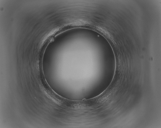X0000076240535200610051157
