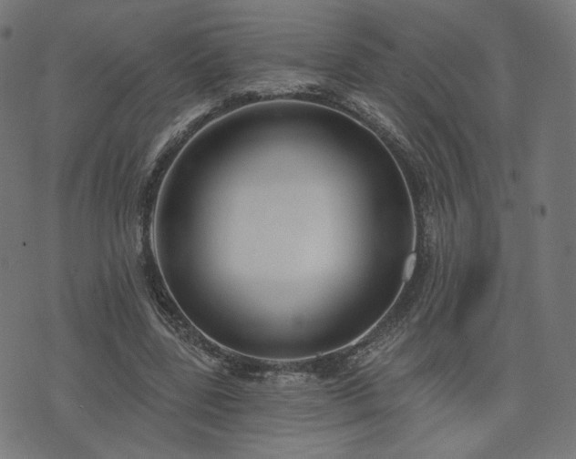X0000076240539200610051157