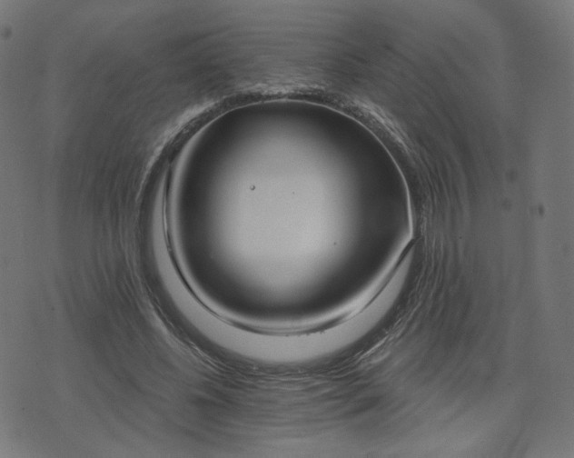 X0000076240540200610051157