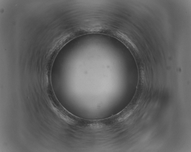 X0000076240541200610051157