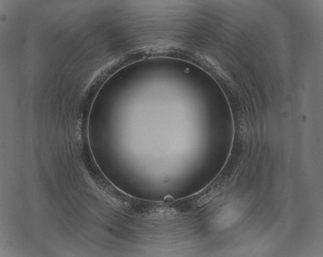X0000076240543200610051157
