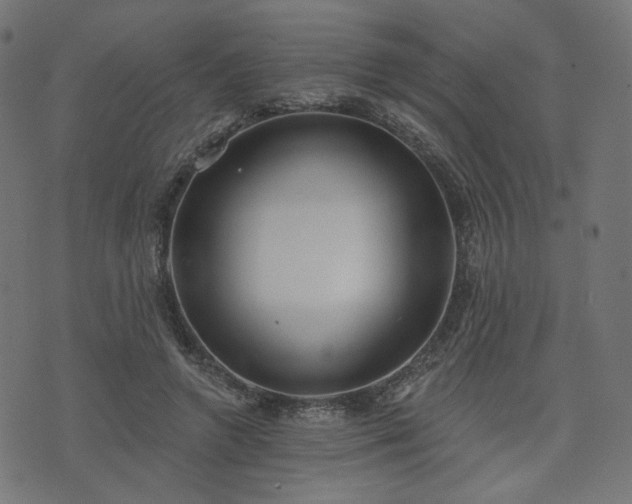 X0000076240546200610051158