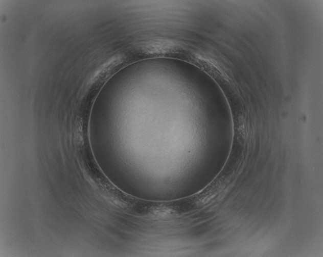 X0000076240547200610051158