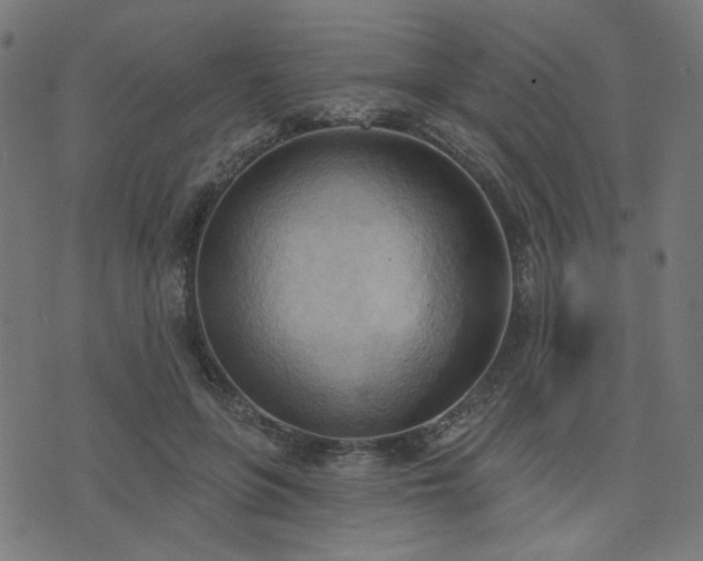 X0000076240551200610051158