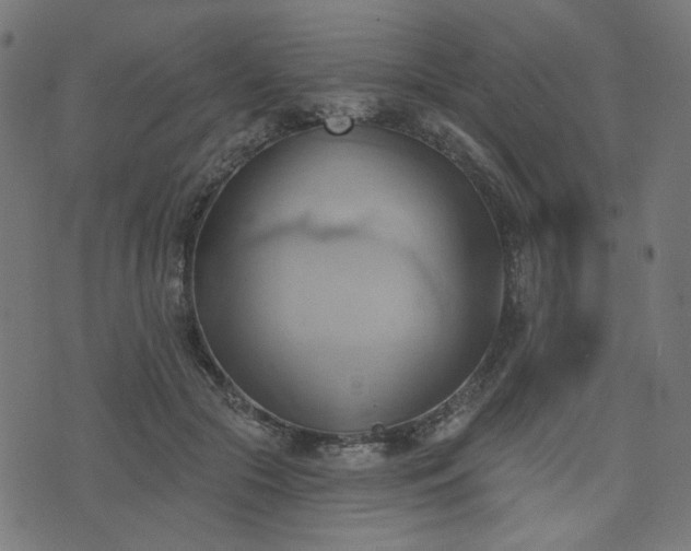X0000076240553200610051158