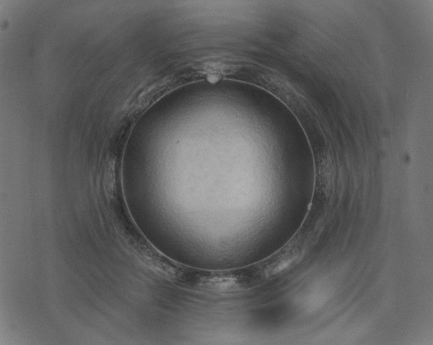 X0000076240554200610051158