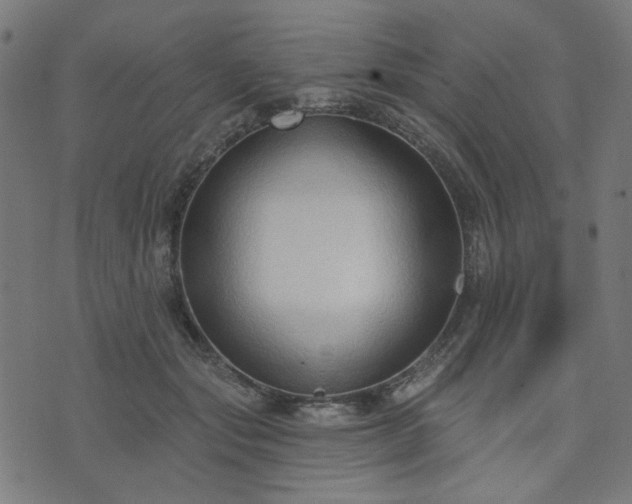 X0000076240557200610051158