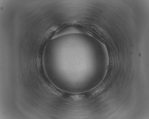 X0000076240558200610051158