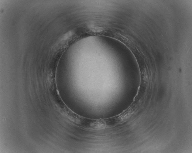X0000076240559200610051158