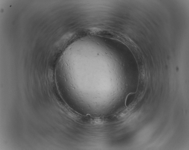 X0000076240565200610051158