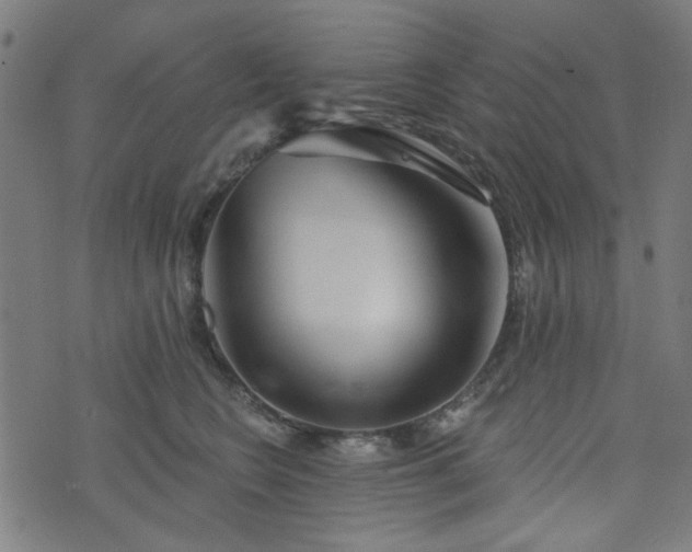 X0000076240566200610051158