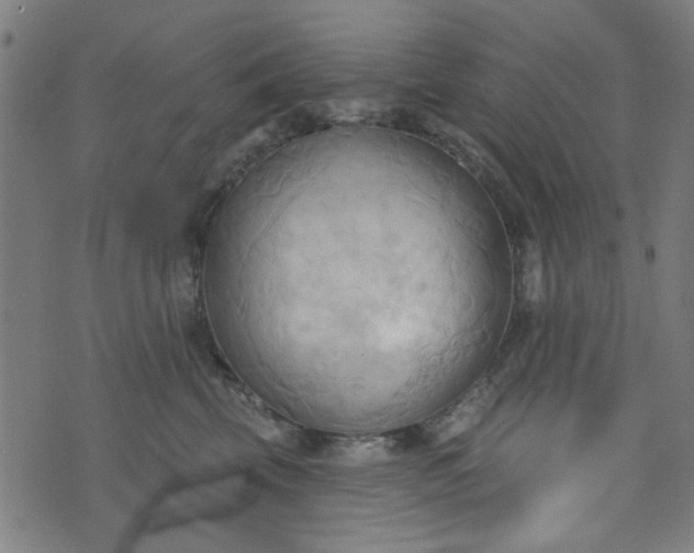 X0000076240569200610051158